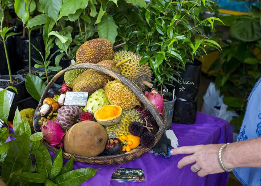 Feast of The Senses - Innisfail