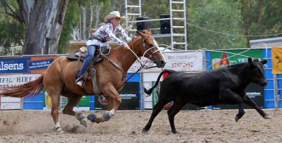 Myrtleford Rodeo