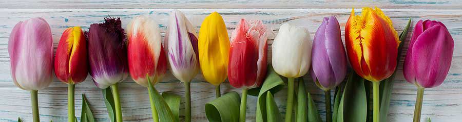 Nannup Flower Festival