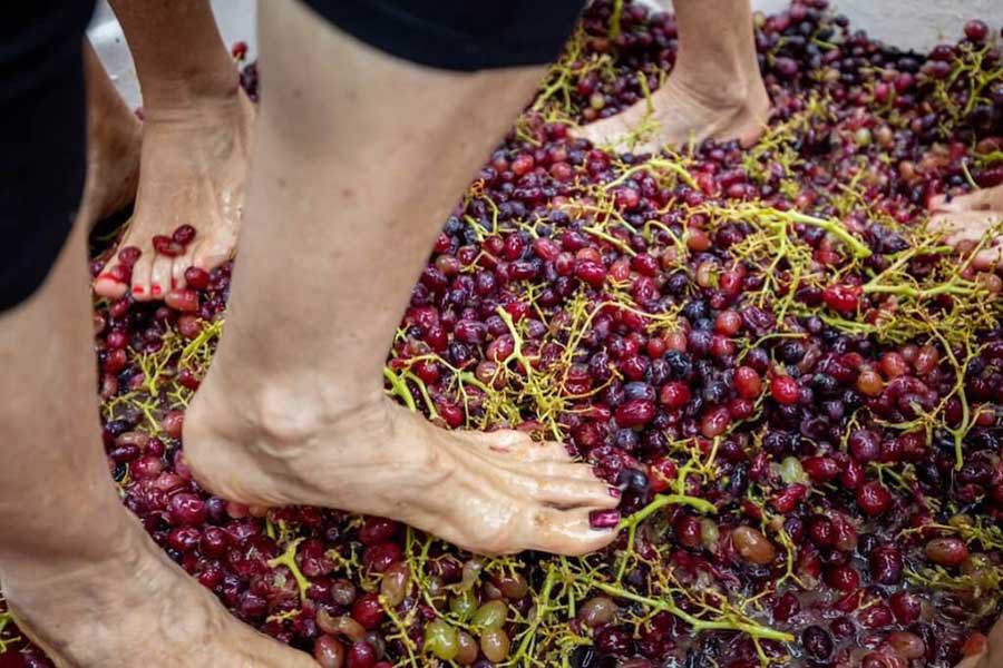 Stanthorpe Apple & Grape Festival